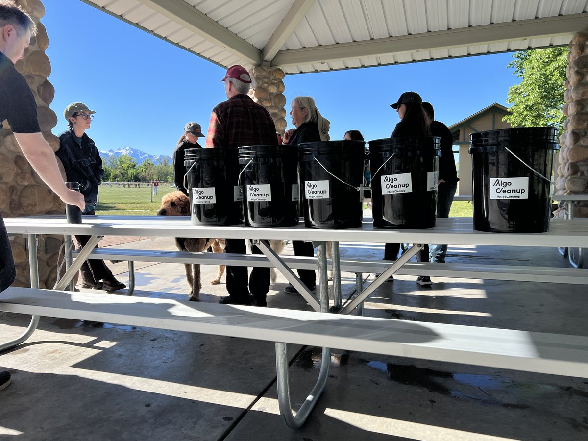 AlgoCleanup.algo tweet media