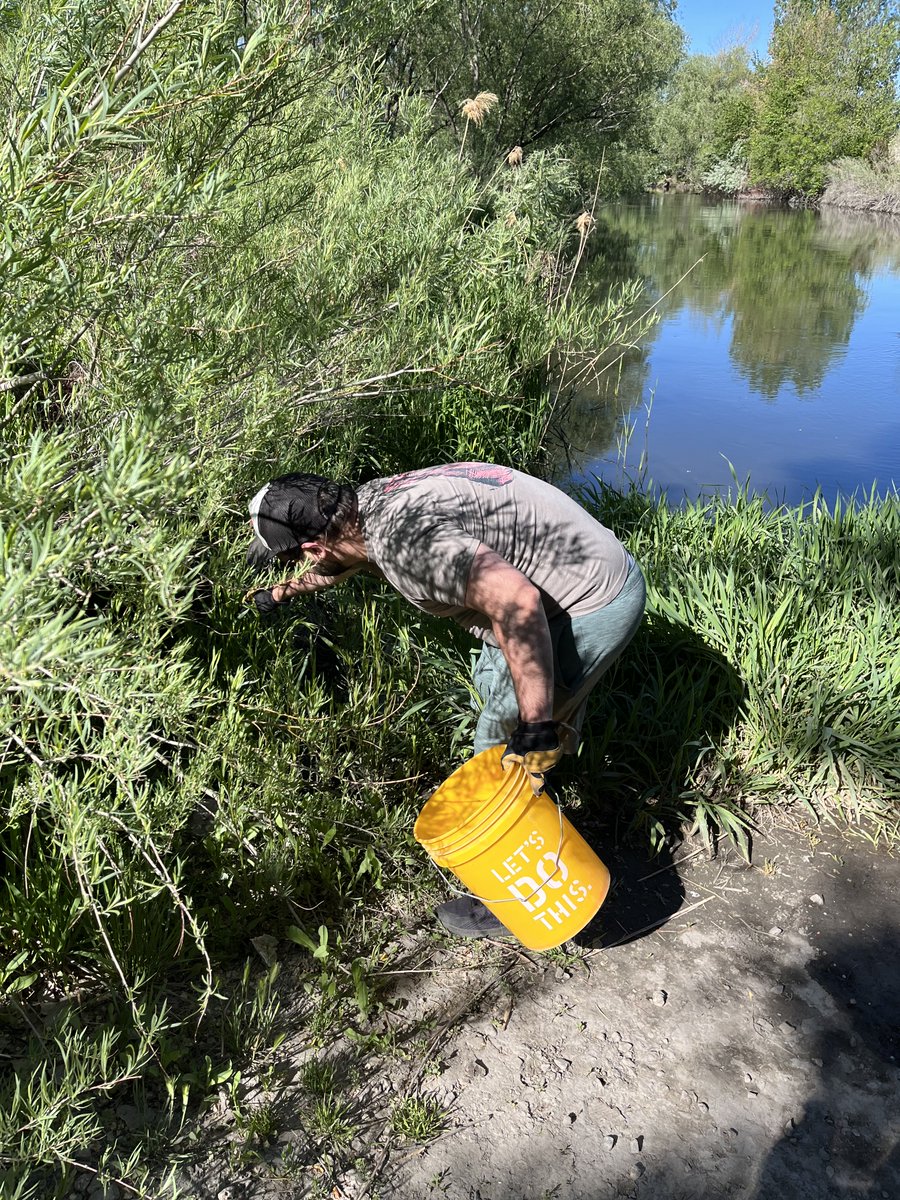 AlgoCleanup.algo tweet media