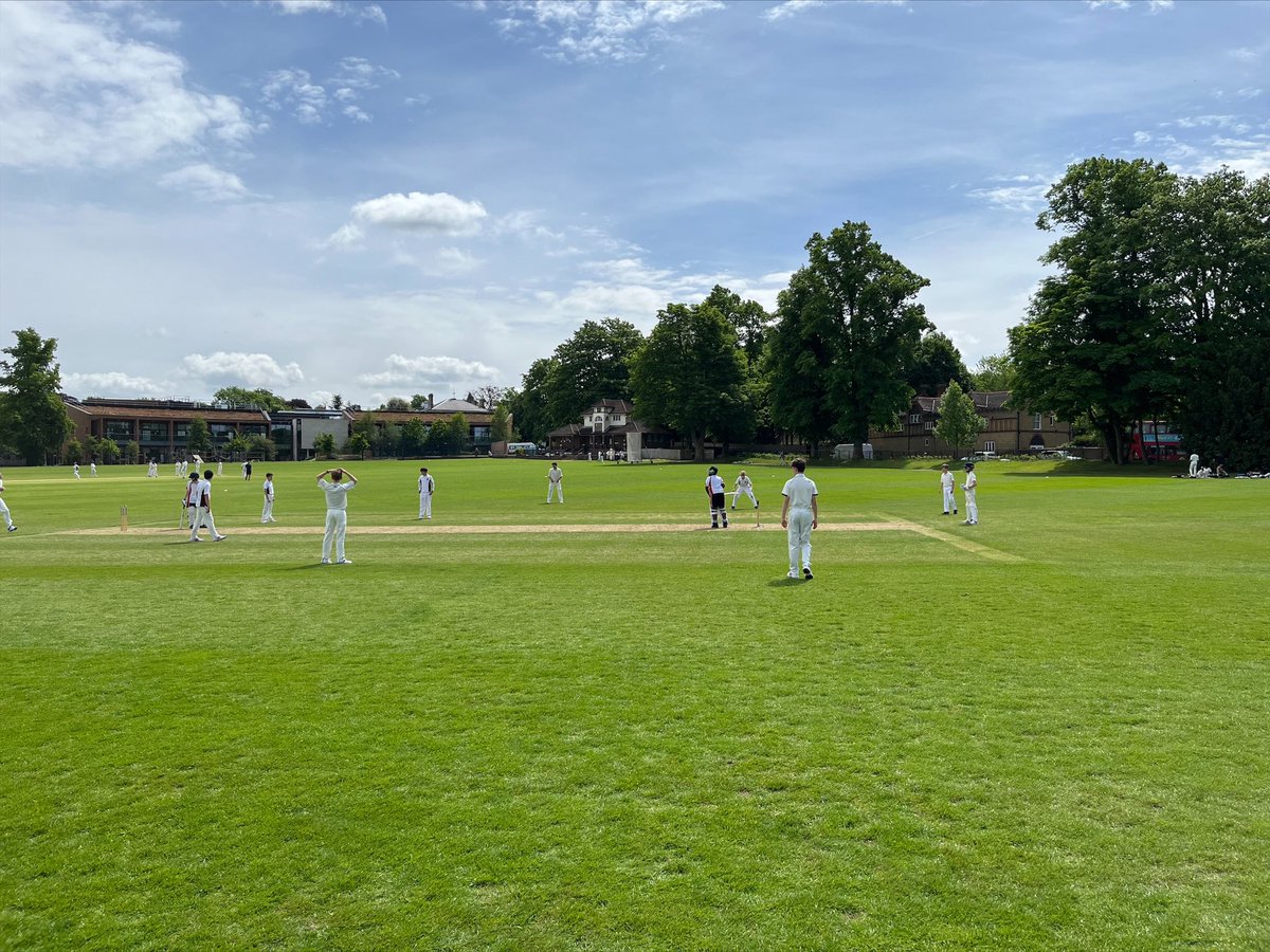 HighgateSpEx's tweet photo. Lovely scenes from our field of dreams 🏏☀️ #HighgateCricket https://t.co/BmzIOScoYK
