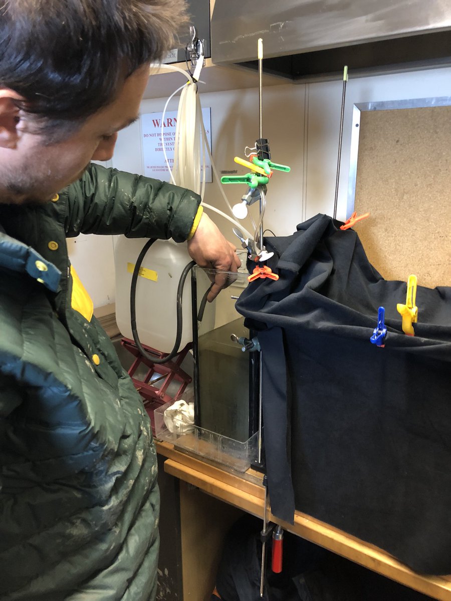 After an exciting week on a cruise, where we sampled and imaged the sediment of the Sankt Lawrence stream, we got a lot of data to analyse... I'm excited to see what the data will tell us #optodes #Coriolis #AcademicChatter #WATEC #ISMER