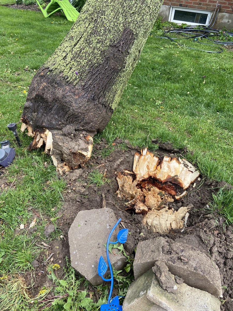 PaulaMorphy's tweet photo. Hit by tornado in Belmont. Everyone’s ok but definitely scary!!!! https://t.co/a6dXgqZj0K