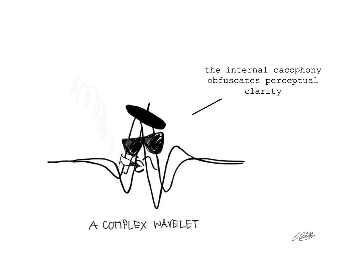 the pseudo-intellectual musings of a complex wavelet