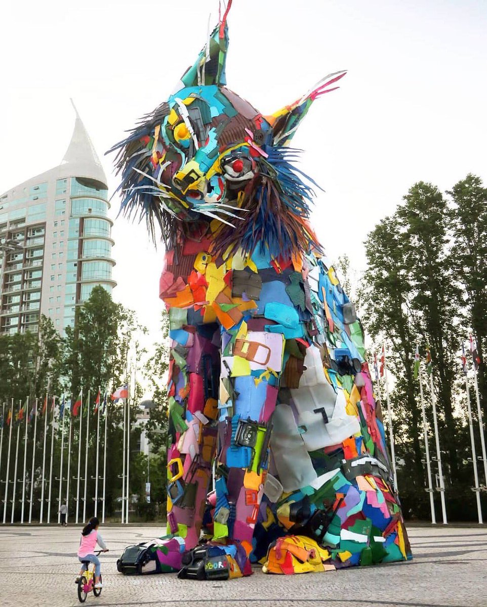 Marieaaow's tweet photo. #StreetartUtopia #Lisboa #Portugal
Cat made of plastic waste
https://t.co/yqj5ODCbww https://t.co/OLF42O0gg6