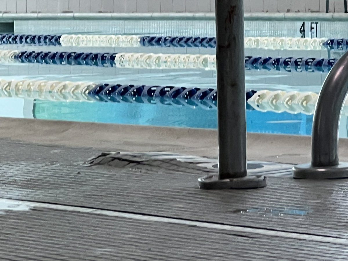lostshakerofsa1's tweet photo. @LAFitness can someone please clean up Euless? Ants around hot tub, hot tub smells, https://t.co/E6MkjsBjc3