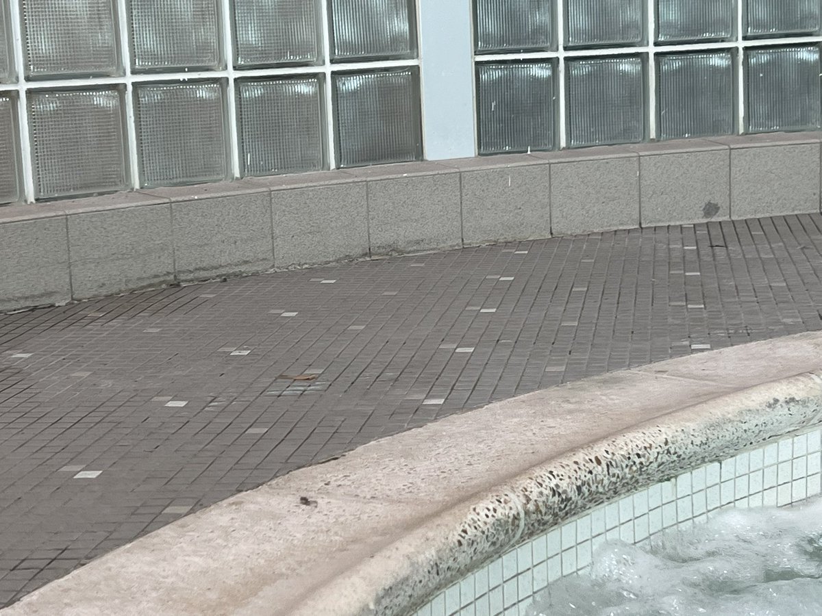 lostshakerofsa1's tweet photo. @LAFitness can someone please clean up Euless? Ants around hot tub, hot tub smells, https://t.co/E6MkjsBjc3