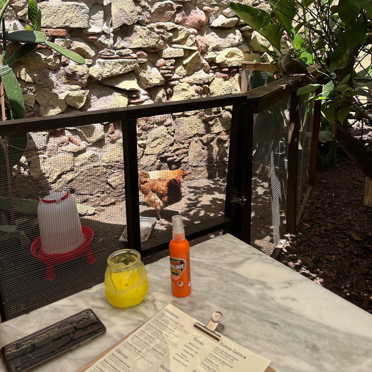 Fabuloso el brunch de Billy Brunch Garden. 
Ricos platos que puedes combinar con cócteles. La atención de los trabajadores es exquisita. Si podéis escoger la terraza interna es muy bonita y con un con gallinas
#brunch #barcelona #foodies #huevosbenedictinos #foodiesbcn #yummy