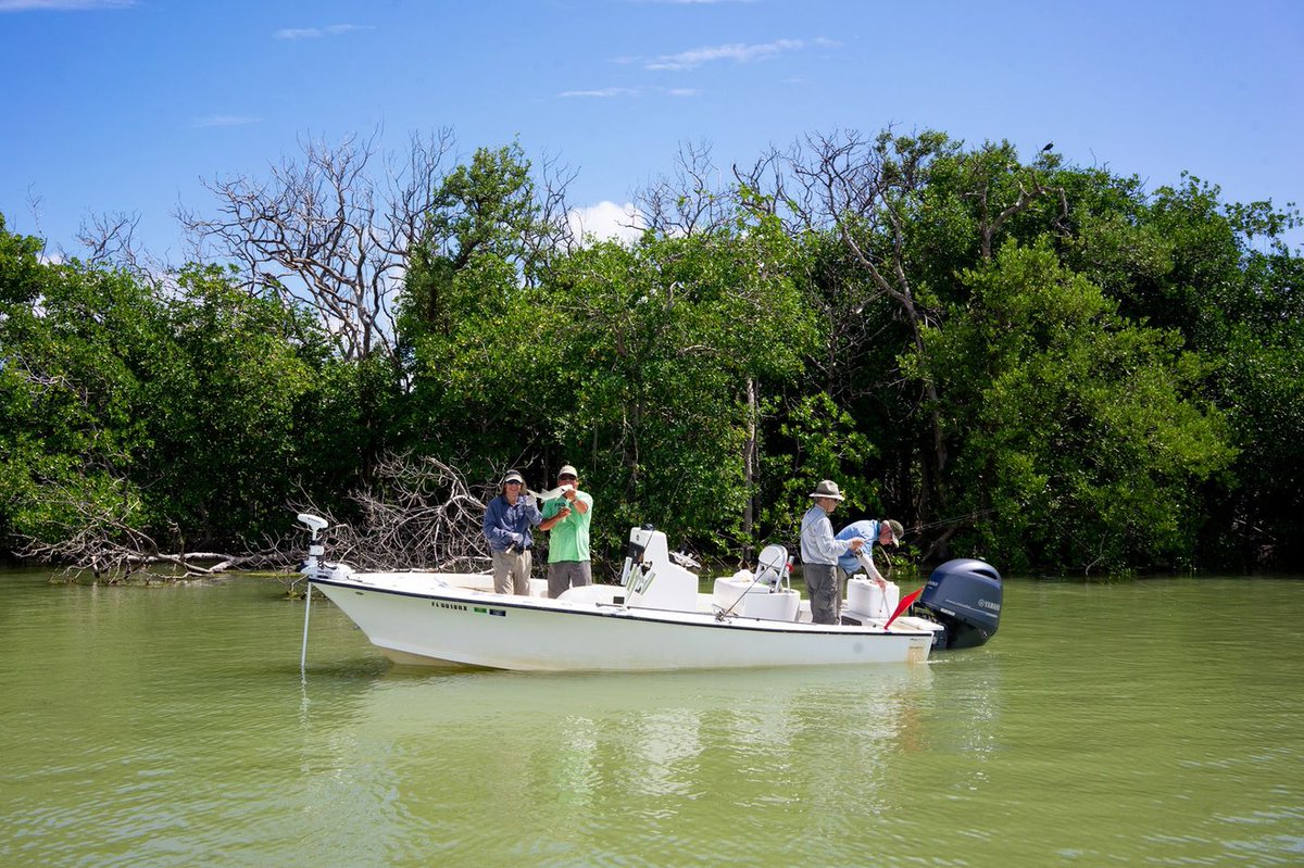 Excited about getting out on the water?

We're Kicking off National Safe Boating Week (5/21-5/27) by pointing out a free and useful resource to help boaters boat safely in the park.

NPS Photo by M.Collier

#NationalSafeBoatingWeek #FloridaBay #EvergladesNationalPark