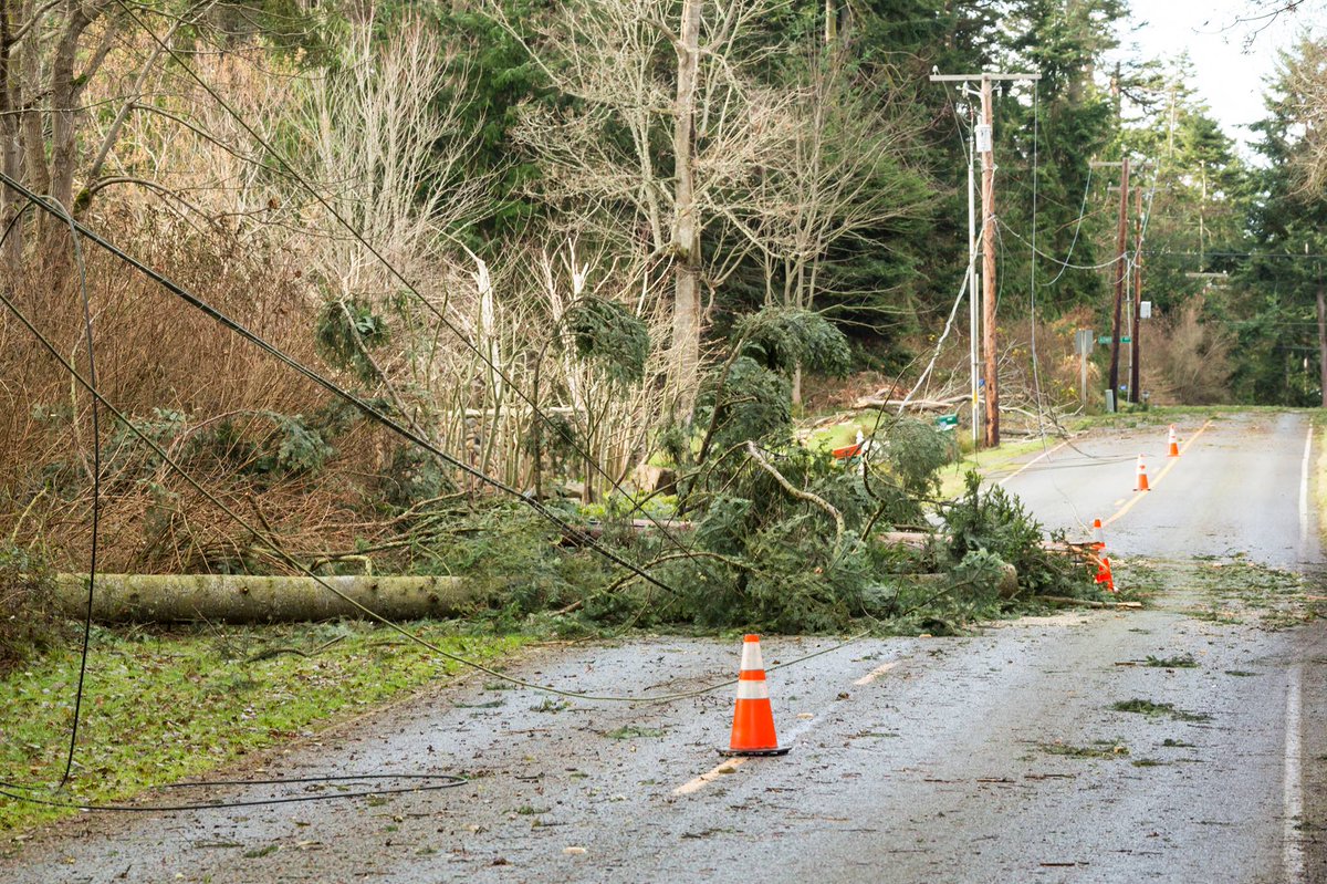 The public's patience is appreciated as cleanup efforts are underway after today's severe rain &amp; wind storm. Please avoid entering unsafe areas. To report downed trees/debris blocking roads, sidewalks &amp; trails please call 519-759-4150/press 7 for our the after hours call centre.
