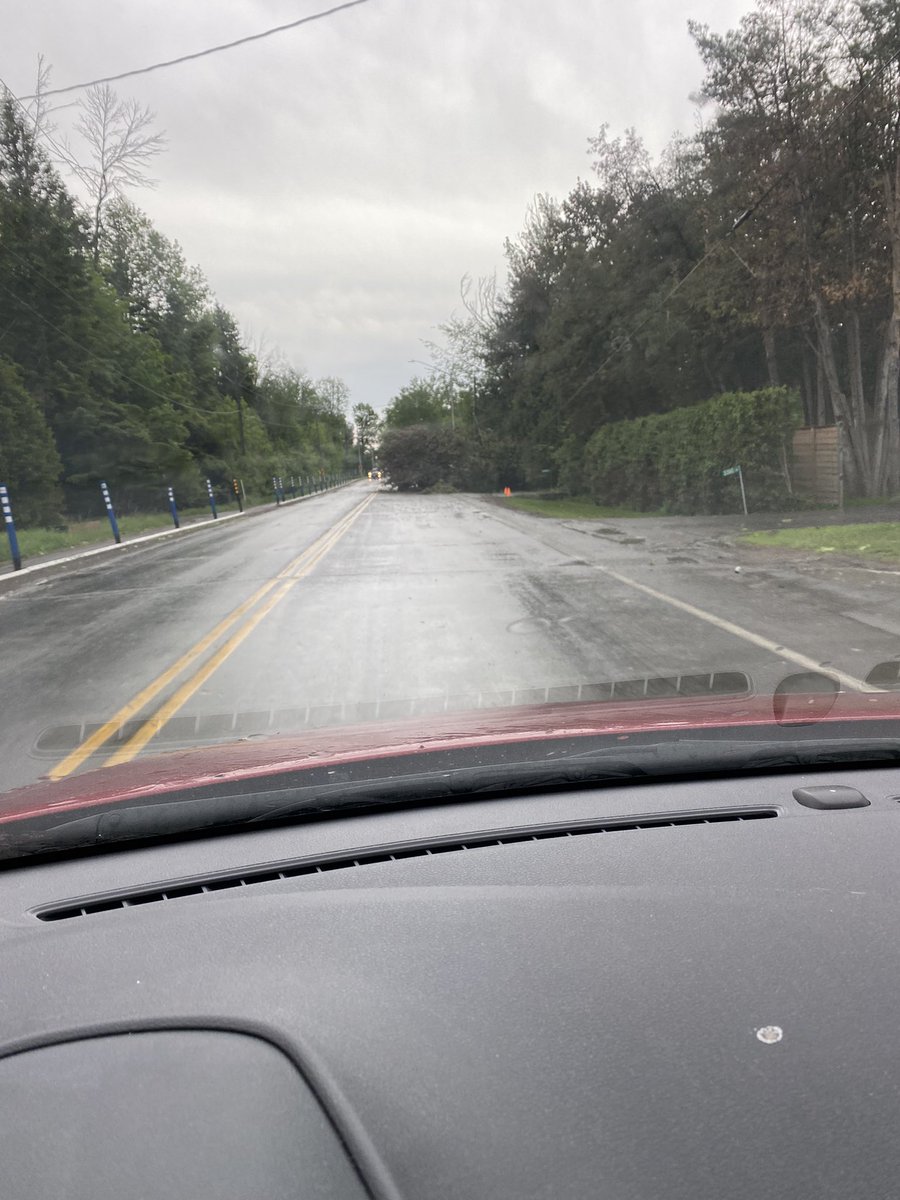 mtipman's tweet photo. Some large trees down on Greenbank near the Jock River in Barrhaven #ONStorm https://t.co/n0N3fyzlGG