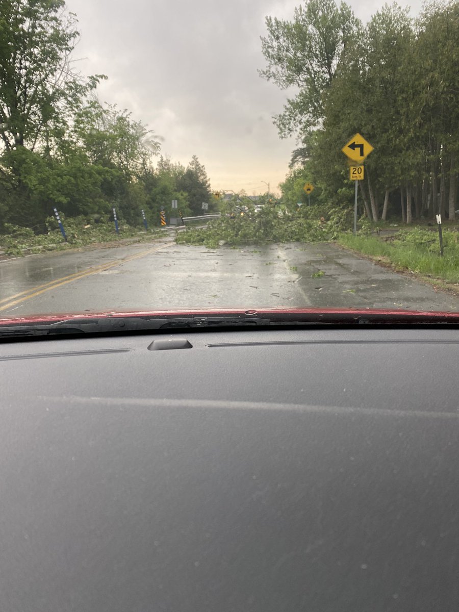 mtipman's tweet photo. Some large trees down on Greenbank near the Jock River in Barrhaven #ONStorm https://t.co/n0N3fyzlGG