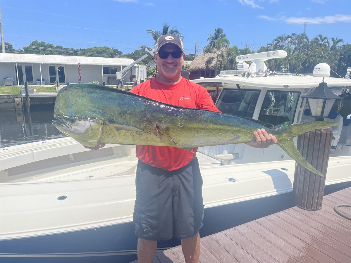 ReyLavandera's tweet photo. #offshorefishing #saltlife #saltybones #mahimahi https://t.co/V8CMwwTTLP