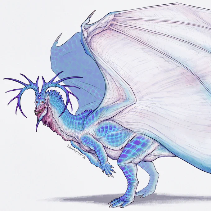 More dragons 