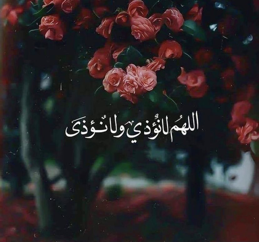 Ebtesam (@ebtesam02) on Twitter photo 