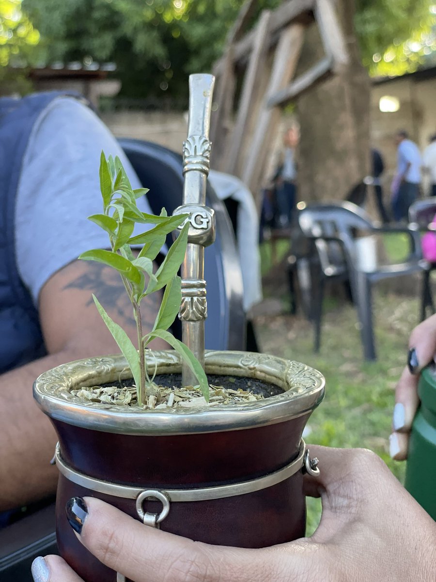 MiluEscubilla's tweet photo. Que nunca nadie te diga cuánto burrito ponerle al mate https://t.co/OEGlLcb4Ov