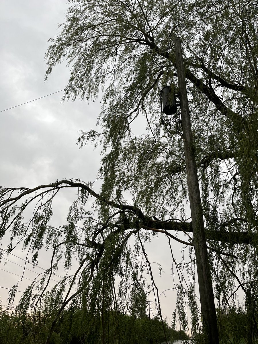 makemyownwine's tweet photo. @alectranews your emergency line keeps dropping connections. I get there is a volume of calls but every time there is bad weather your system can’t handle it. How do I report branches on line? https://t.co/cxYsv0Hzos