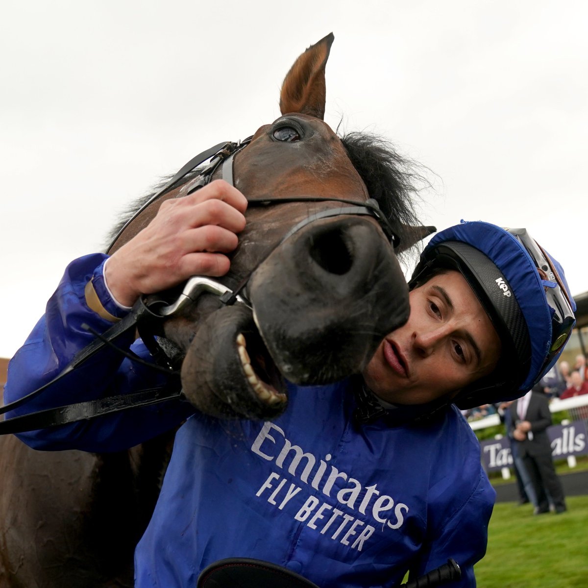 itvracing's tweet photo. 📸 Picture of the day 📸

Native Trail ❤️ William Buick 

#ITVRacing  | @godolphin https://t.co/o7NmuZ8gAX