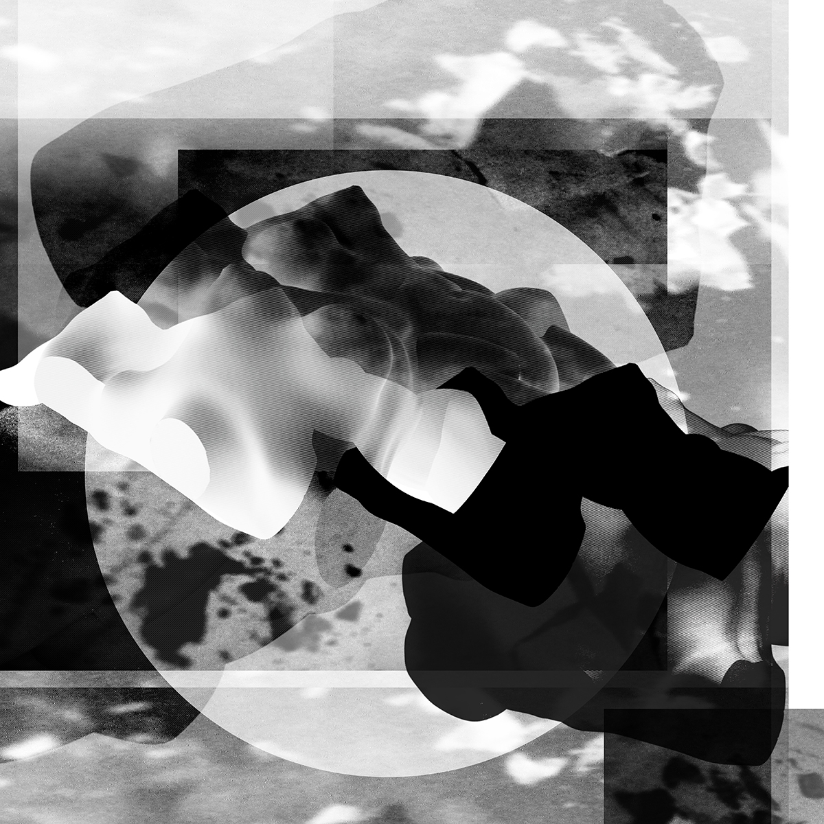 katiamess tweet media