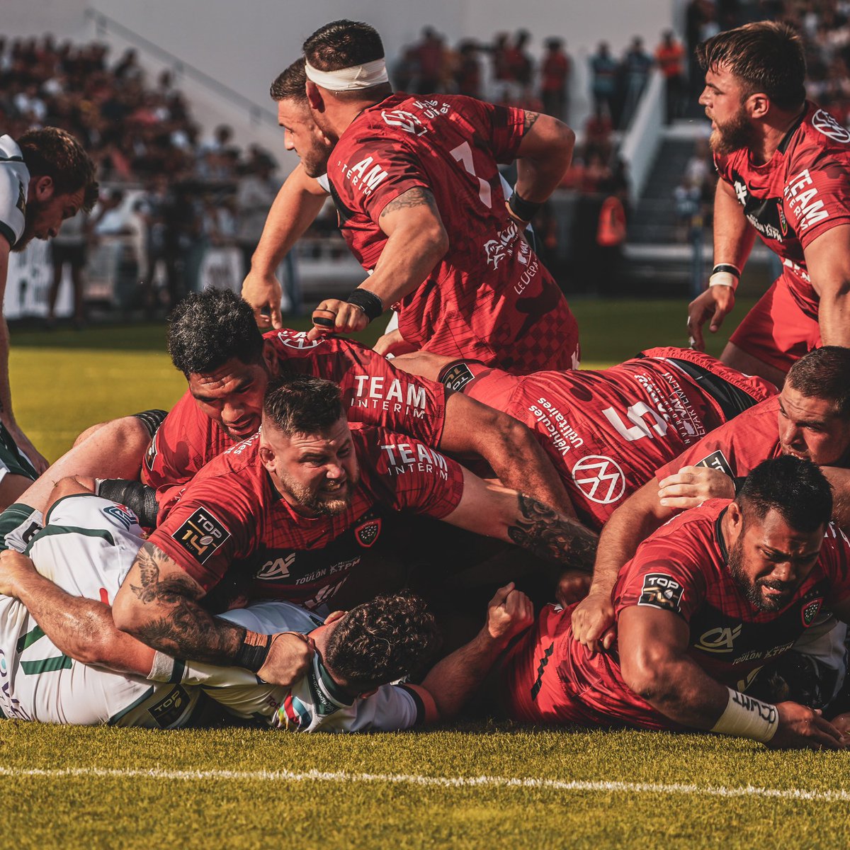 RCT – Rugby Club Toulonnais tweet media