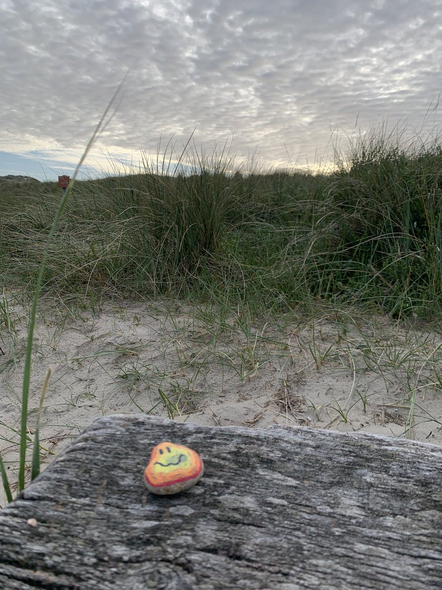 Op zoek naar de gorgels, helaas niet gevonden dus maar een happy stone voor ze achter gelaten! <a href="/jochemmyjer/">Jochem Myjer</a> <a href="/LandalSLI/">Landal Sluftervallei</a>  zouden de gorgels ze vinden?😎 de kids denken van wel