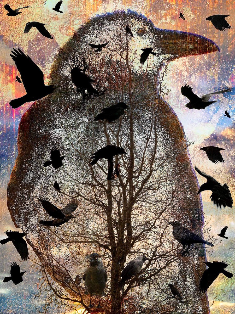 ArtShopNorwich's tweet photo. Rosie Gosden (@animaimages) does love a corvid. This one is called ‘The Raven Queen’. Rosie is Sunday’s duty artist at 75 Upper St Giles (11-4).
Call by for a browse or you can always call/message Kirstie on 07748 303250; email NorwichArtShop@gmail.com https://t.co/woQBXCl4IE