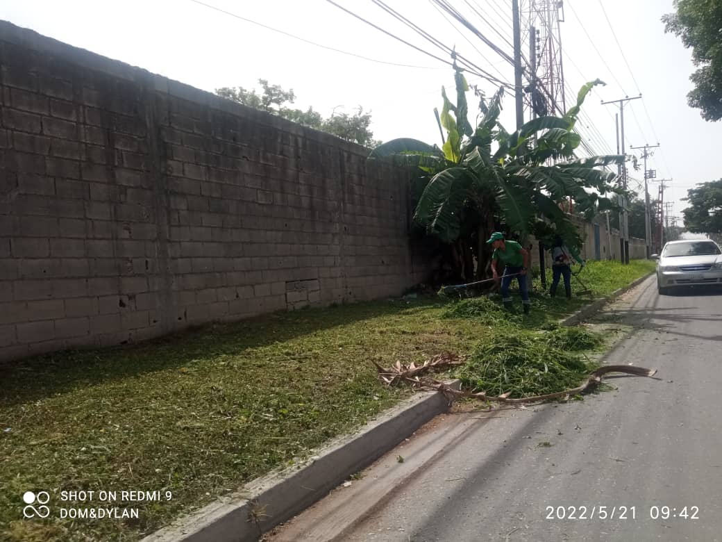 PSUVParroq_SG's tweet photo. #Serpumar y clase obrera trabajando la comunidad Nicolás Farinachi poda y desmalezamiento, c/ oeste 1 La Morita I mcpio Santiago Mariño, de la mano del poder popular organizado Gracias al pdte @NicolasMaduro gob. @Soykarinacarpio alcaldesa @johanitakenpo
#1x10DelBuenGobierno https://t.co/xjXKg91CEE