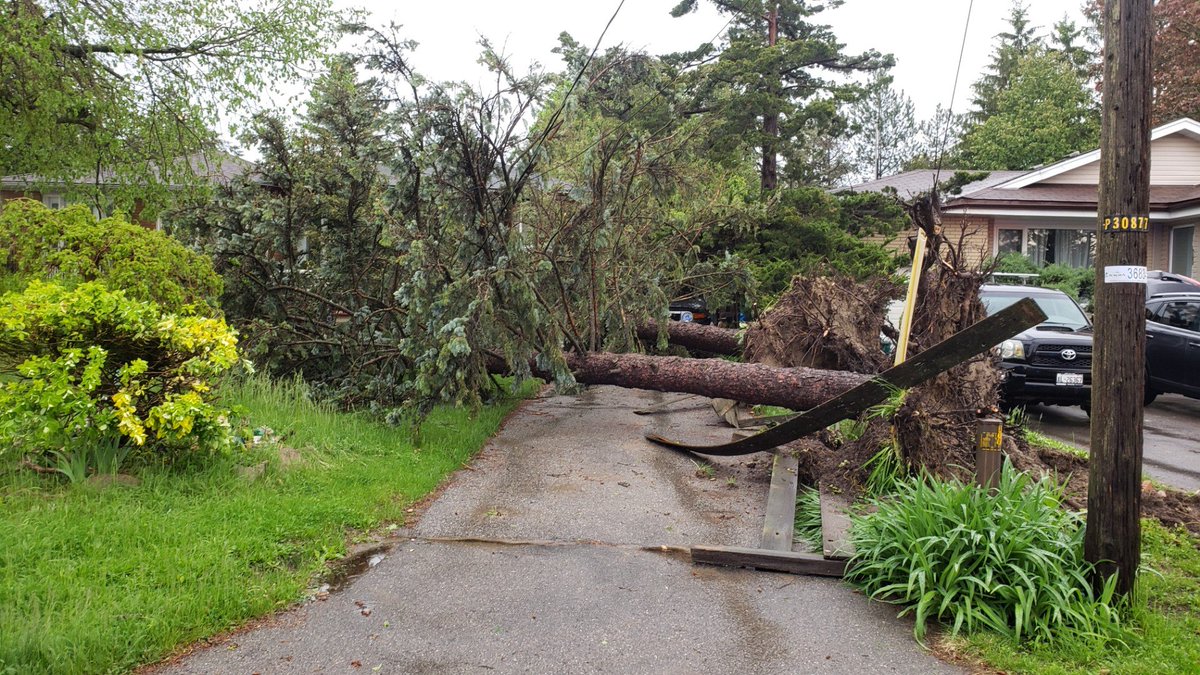 alicejin's tweet photo. #ONStorm Aurora: two trees down blocking driveway and front door! Luckily car wasn't parked there today! #stormwatch #aurorastorm https://t.co/en7DySRgzf