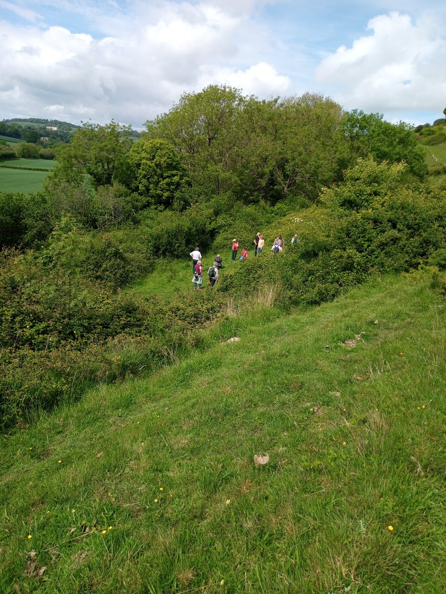 Robin George (@bflyrobin) on Twitter photo You can always tell when someone's spotted something. Duke of Burgundy at Cerne Abbas today for Dorset butterfly ID workshop <a href="/BC_Dorset/">BC Dorset 🦋</a> You can always tell when someone's spotted something. Duke of Burgundy at Cerne Abbas today for Dorset butterfly ID workshop <a href="/BC_Dorset/">BC Dorset 🦋</a>