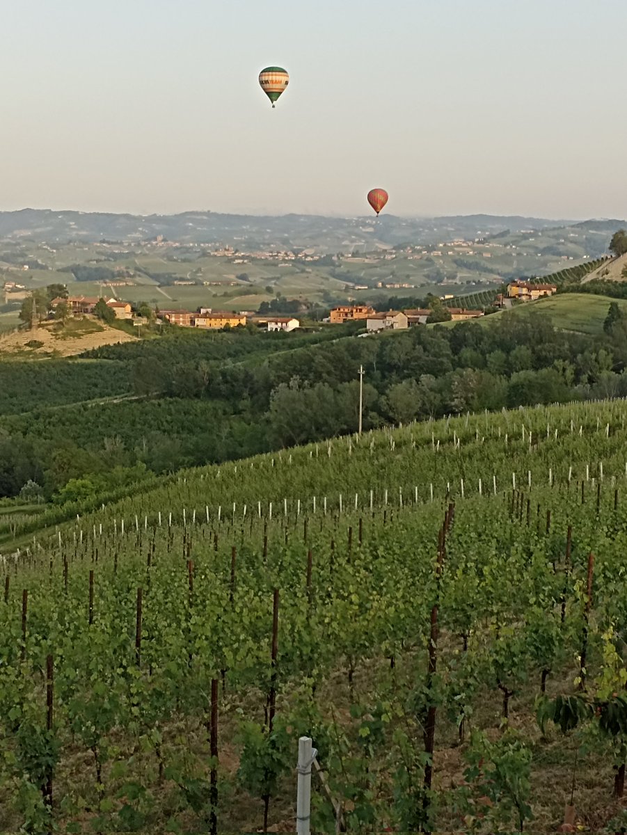 Mongolfiere su Verduno
#Albainlanghe#Langhe#Verduno