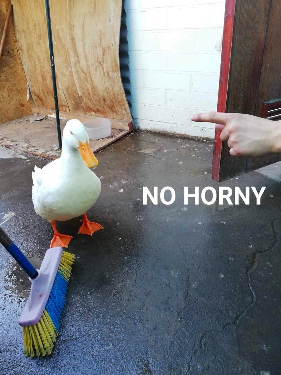 Dr. Duck Flow | Commission open | pm✉️ (@ohh_flow) on Twitter photo 