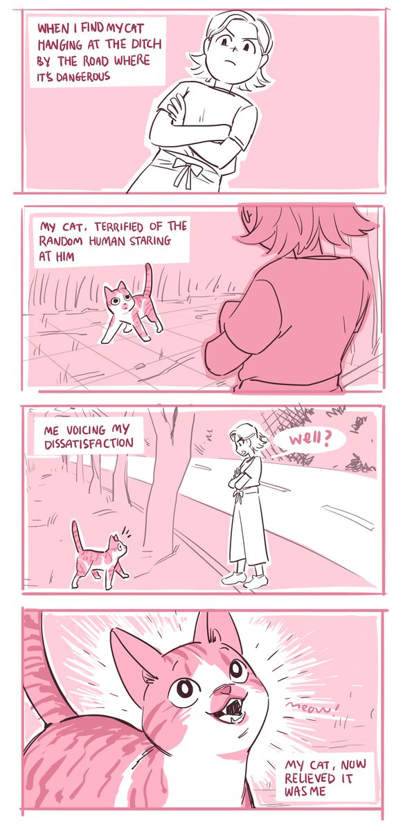 cat 