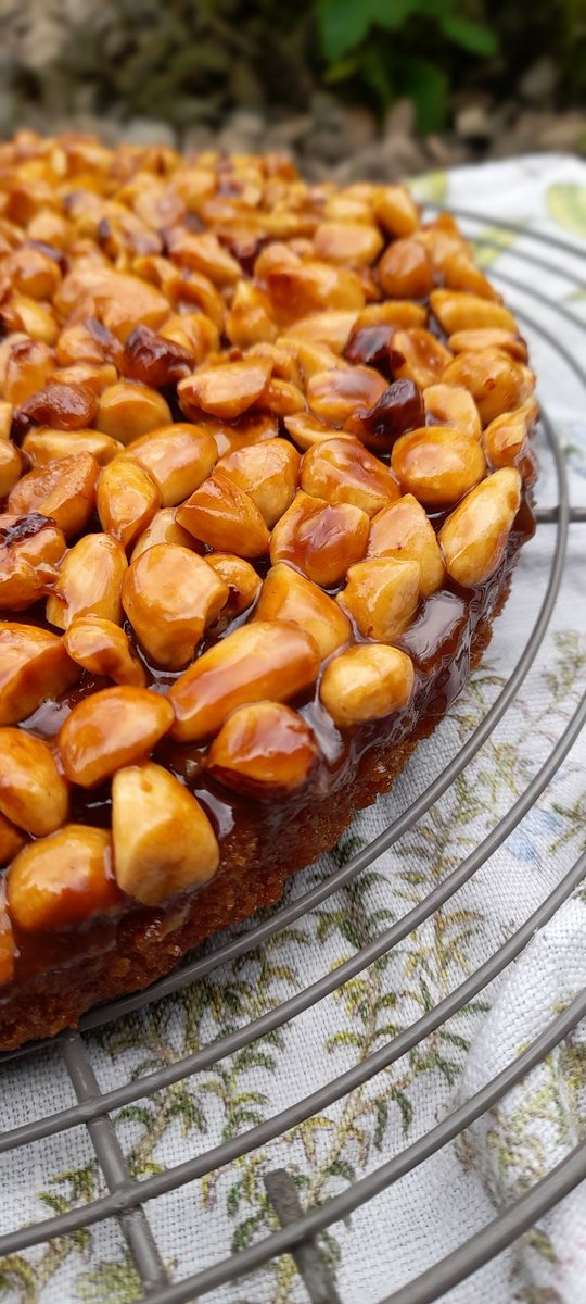 Ivycottagebaker's tweet photo. Cake! Nuts! Feast your eyes Twitterland #microbakery #cake #nuts #homemade #handmade #baking #notjustbread #homebaking #delicious #freshbaked A bit moorish if I'm honest 😉😅 https://t.co/iDotZ0f6Uw