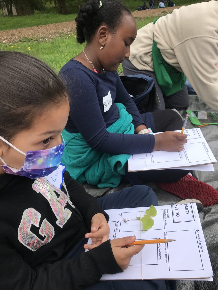 Mendell School tweet media