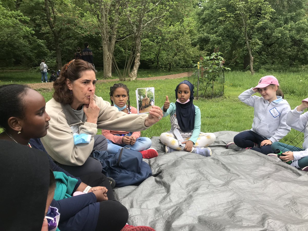 Mendell School (@mendellschool) on Twitter photo Our grade 2 students had an amazing day at the <a href="/ArnoldArboretum/">Arnold Arboretum</a>. This was a perfect, real world opportunity to explore their unit on pollination. Our grade 2 students had an amazing day at the <a href="/ArnoldArboretum/">Arnold Arboretum</a>. This was a perfect, real world opportunity to explore their unit on pollination.