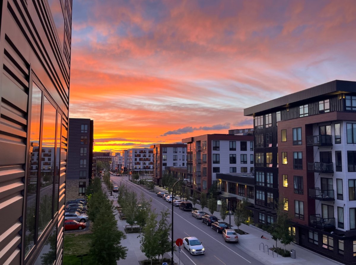 kar nels tweet media