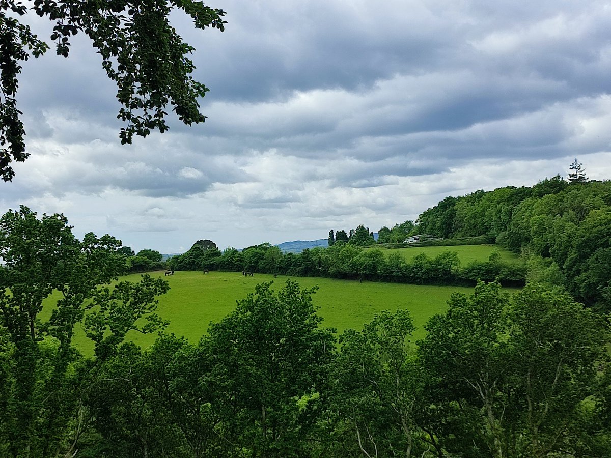 Naturevolve's tweet image. A glimpse of the horizon in the green rolling hills of England.

#nature #trees #england #ukweather