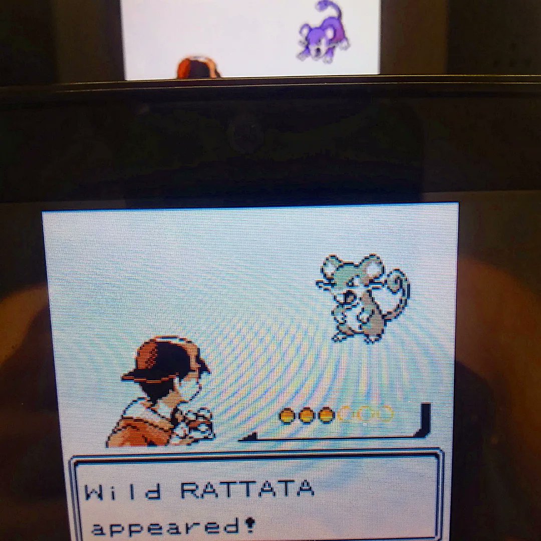 ShiningDanny1's tweet photo. Shiny 15% #Rattata in Silver after 4,369 RE's!✨ I was going after Hoppip for my DTQ, but I didn't have one of these guys yet so I'm okay with it. Onto Phase 2!
#shinypokemon #shinyrattata #shiny #pokemon #silverversion #shinyhunt https://t.co/Zq5zs9JYyD