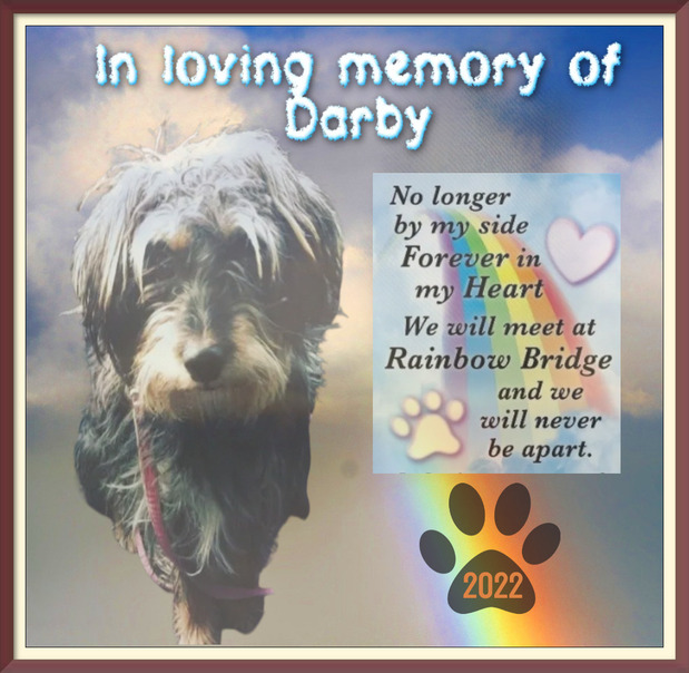 DarG65's tweet photo. @shannonleetweed So sorry for your loss. I made this for you.❤️ https://t.co/A75jOqLCfL