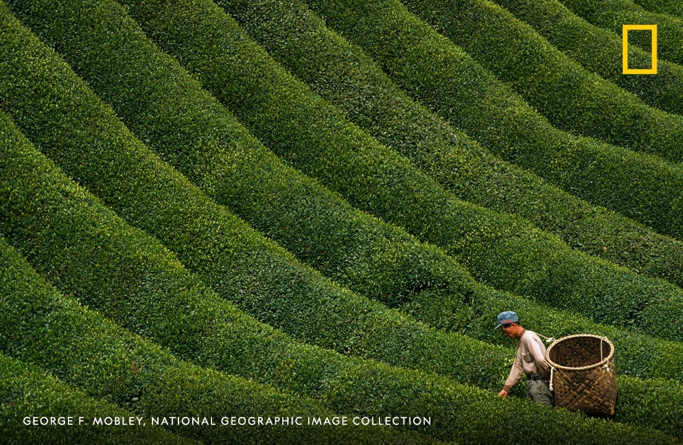 Nat Geo Travel tweet media
