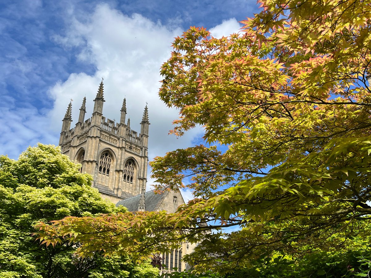 Tom Grace tweet media