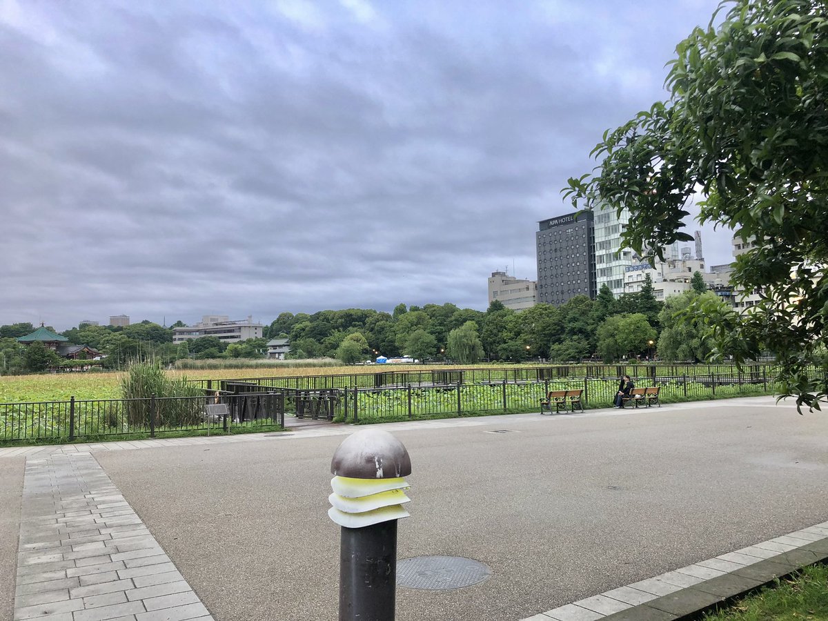 yutty____'s tweet photo. 朝5時の上野恩賜公園。30年くらい前もよく不忍池周りを散歩したなあ。

#朝活 https://t.co/MHhaHhpwii