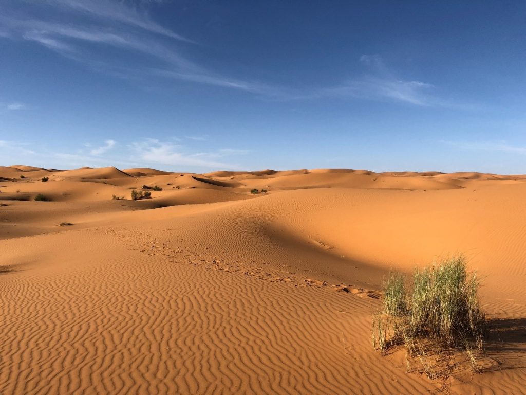 Global_Folder's tweet photo. The Sahara is a desert on the African continent. It is the largest hot desert in the world.  It is almost the same size as the United States of America. If solar panels covered just 1.2% of the Sahara Desert, this would provide enough energy to power the entire world. https://t.co/LYgn079ac5