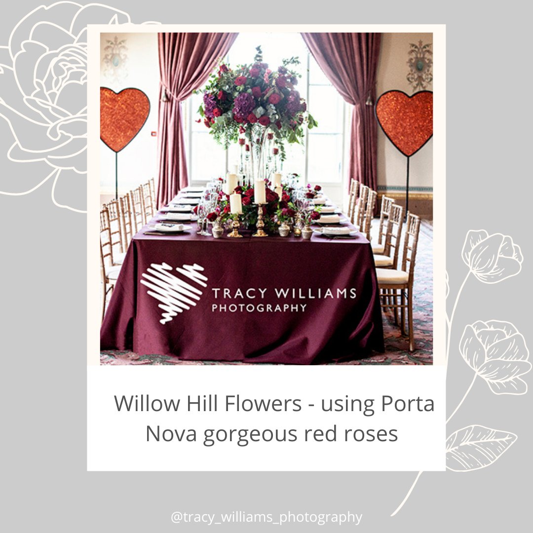 Tracy Williams tweet media