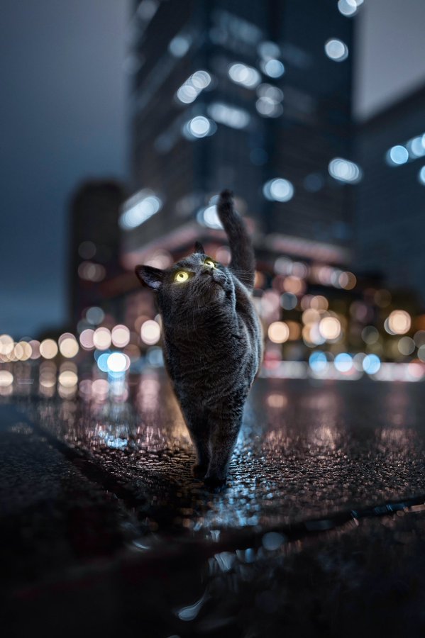 Tokyo..