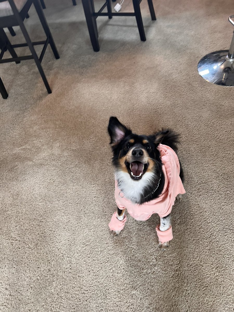 MasterMilox's tweet photo. Todays fit https://t.co/nYjoZn2I1q
