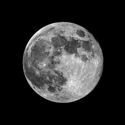 AlexisGoldring's tweet photo. #NewProfilePic https://t.co/FJ7Um7Tk8h