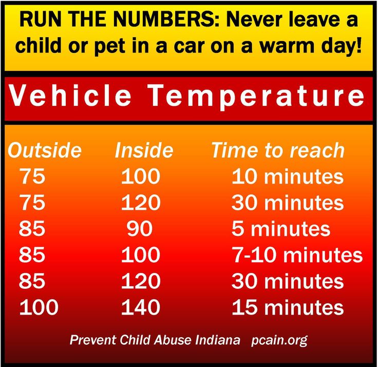 As we begin to experience our first hot days of the summer it's important to remember how hot the interior of vehicles can become. Leaving your animals or children inside vehicles with extreme temperatures for even a short period can be extremely dangerous and is against the law.