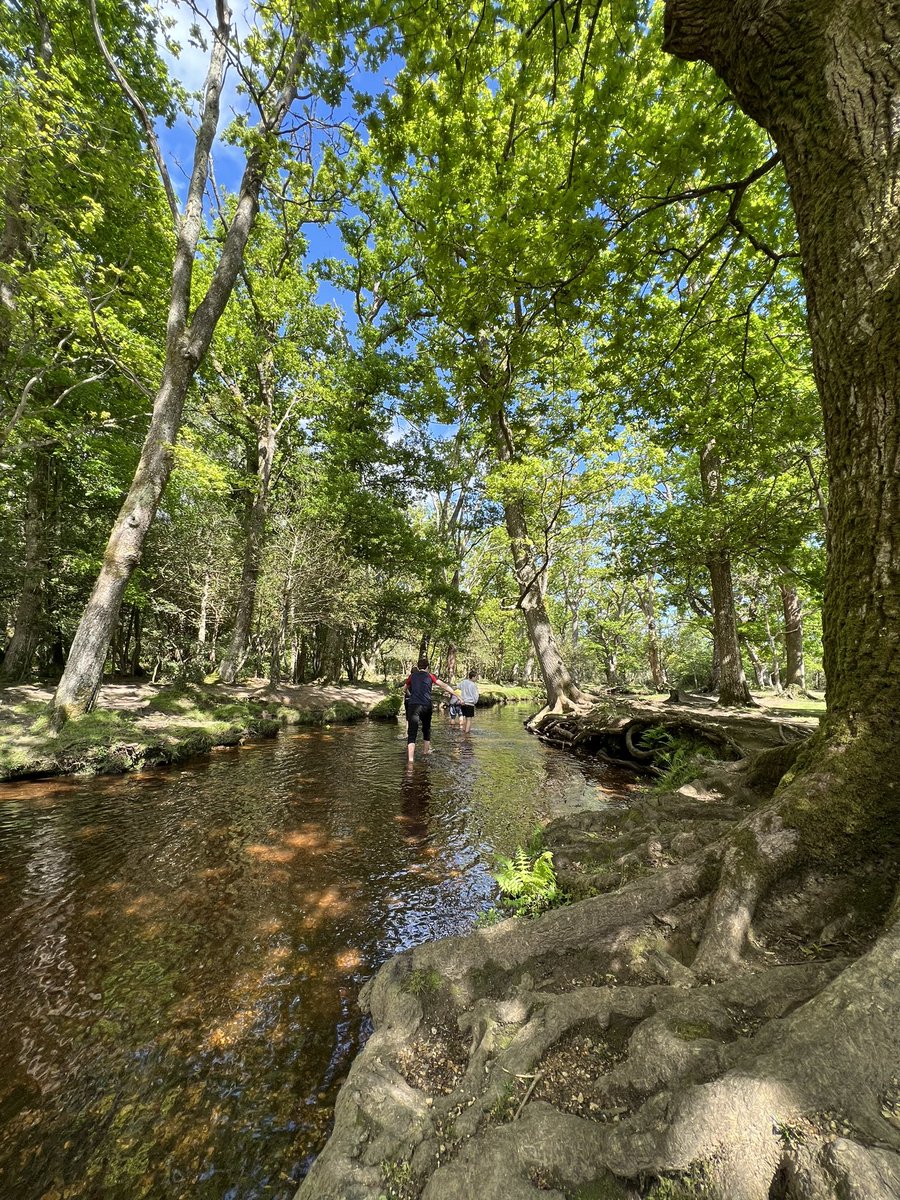 FBS_Sport's tweet image. Day 2 of @DofELondon Bronze Expedition finished in @NewForestNPA 

🏕64 boys completed their Bronze Award 

🍝 Pesto pasta and noodles galore 

🗺☀️ Rosy cheeks and sore feet after some brilliant weather and enterprising navigation today 😬 

Well done, gents and onto silver!