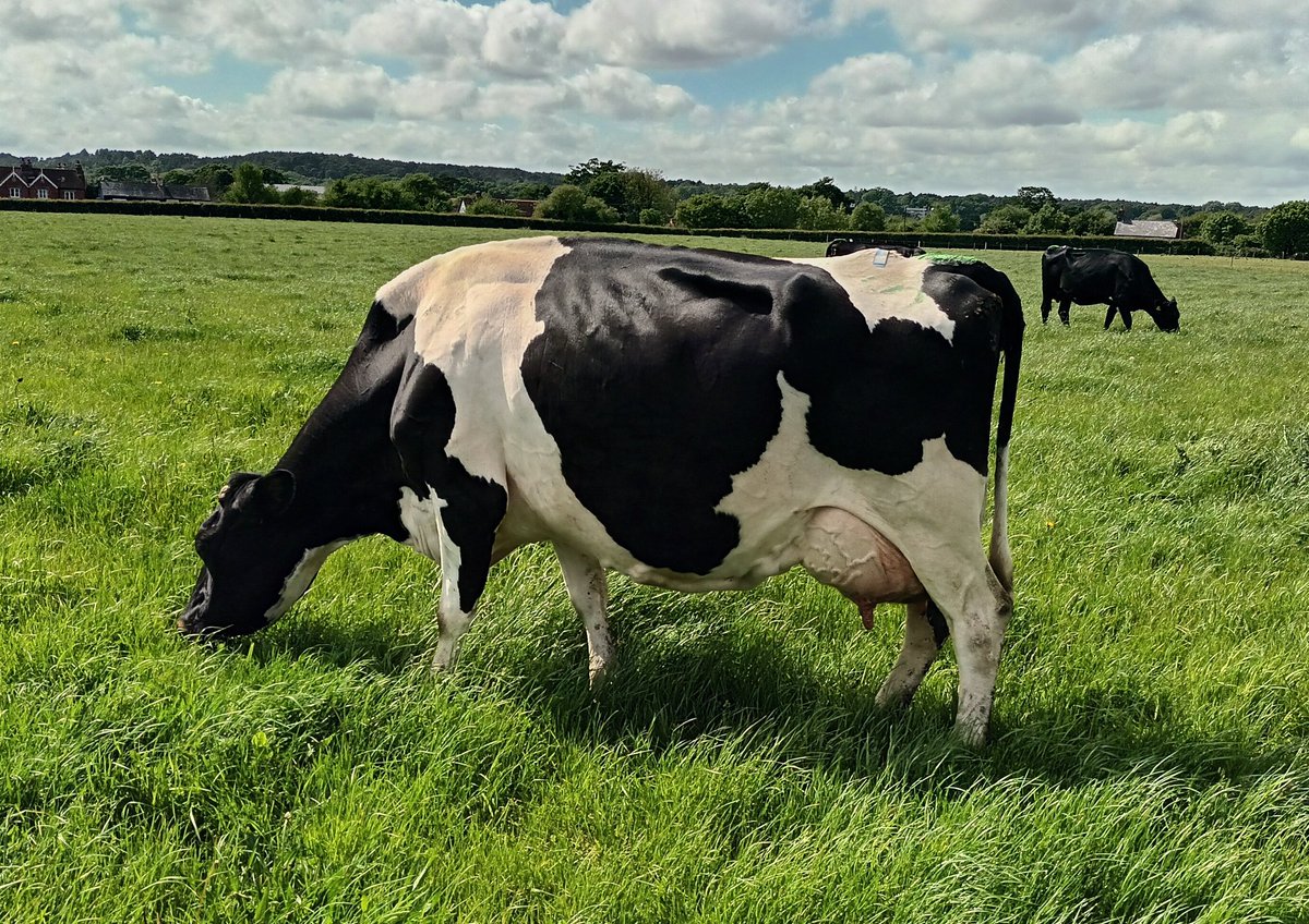 George Brown tweet media