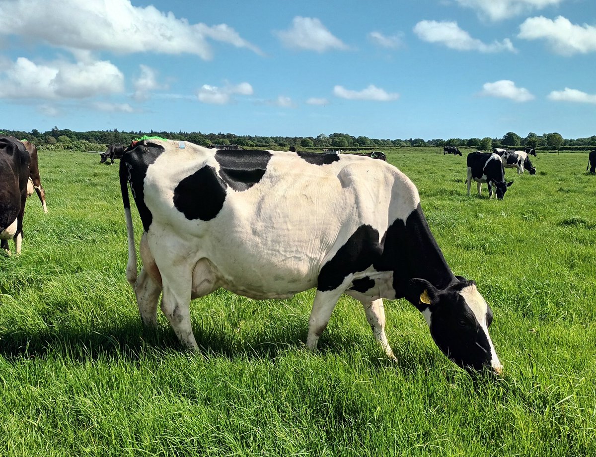 George Brown tweet media