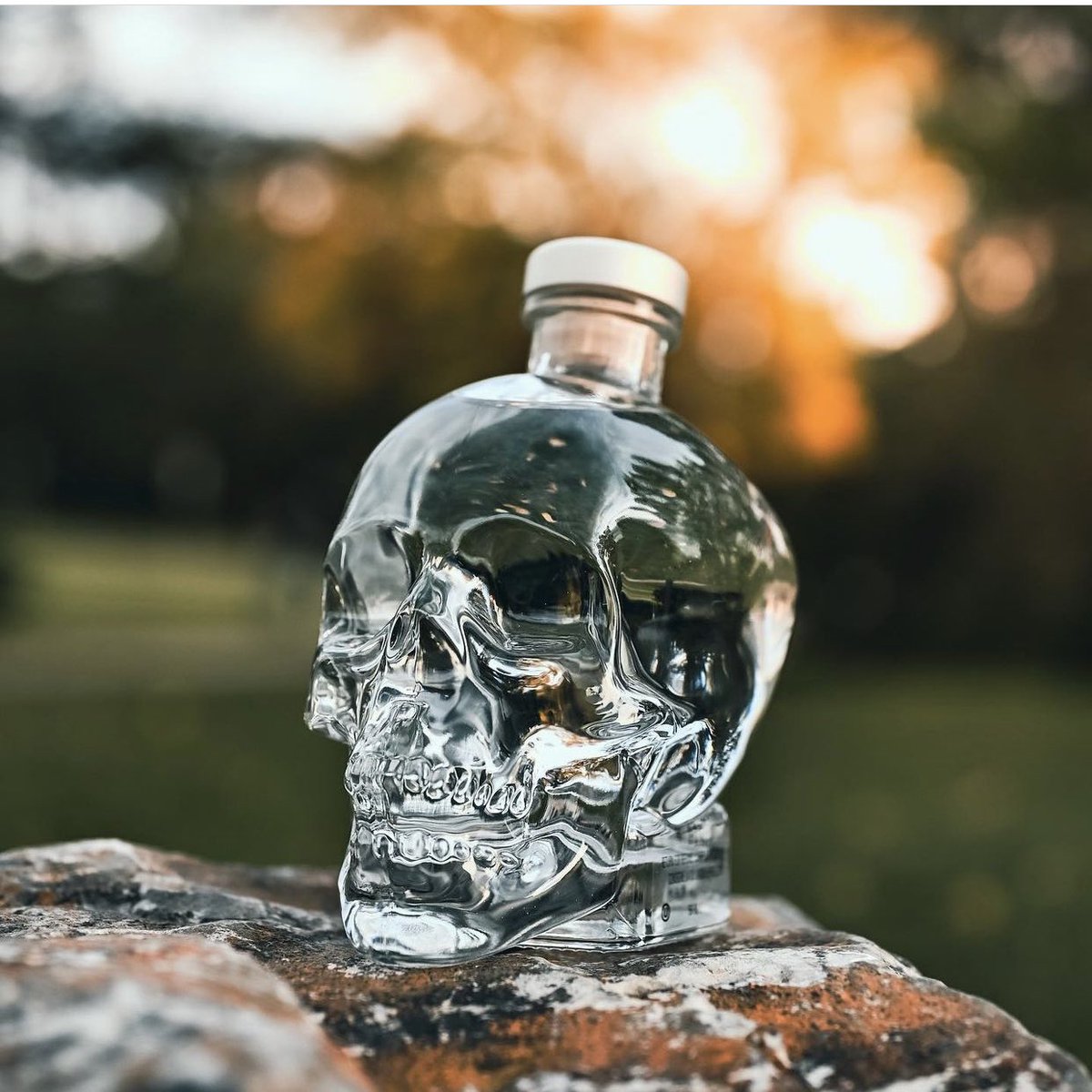 Traficantemex's tweet photo. Aprovecha los precios de remate de la venta en línea de #traficantemx en el #hotsale 👉🏼 sodas, vinos, destilados y licores https://t.co/bFB1u77XZ9